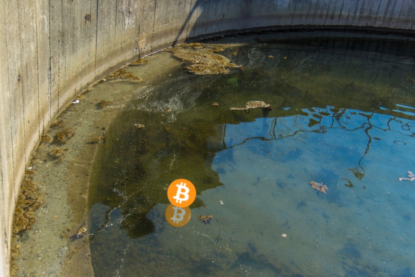 Bitcoin Stirs The Waters