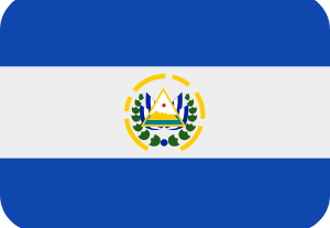 🇸🇻